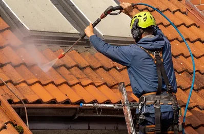 Démoussage et hydrofuge de toiture à Bussac